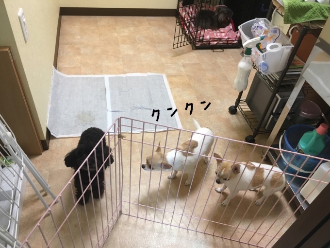 d0269898_17362198.jpeg