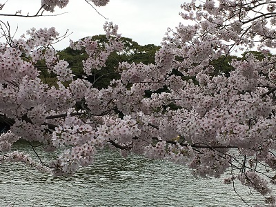 f0372998_15211473.jpg