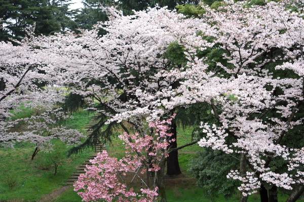 f0233999_12463268.jpg