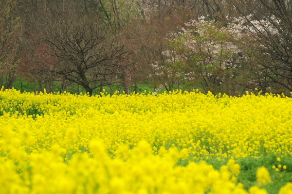 f0233999_12470851.jpg