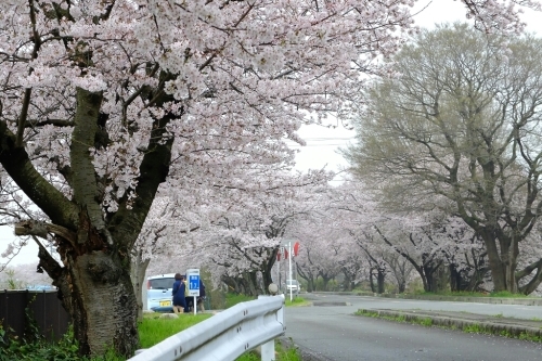e0304001_23085721.jpg