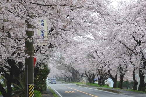 e0304001_23085937.jpg
