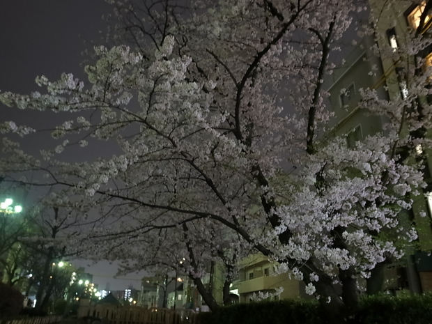 f0197703_11361802.jpg