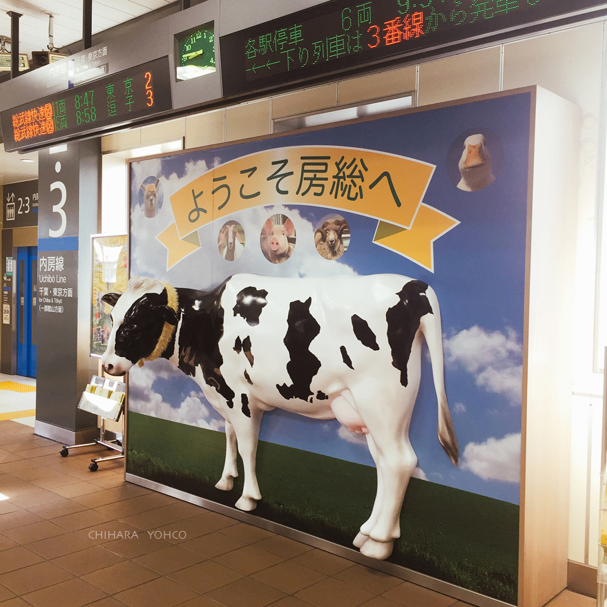 青春18切符東京湾ぐるり一周の旅_d0138811_21471069.jpg