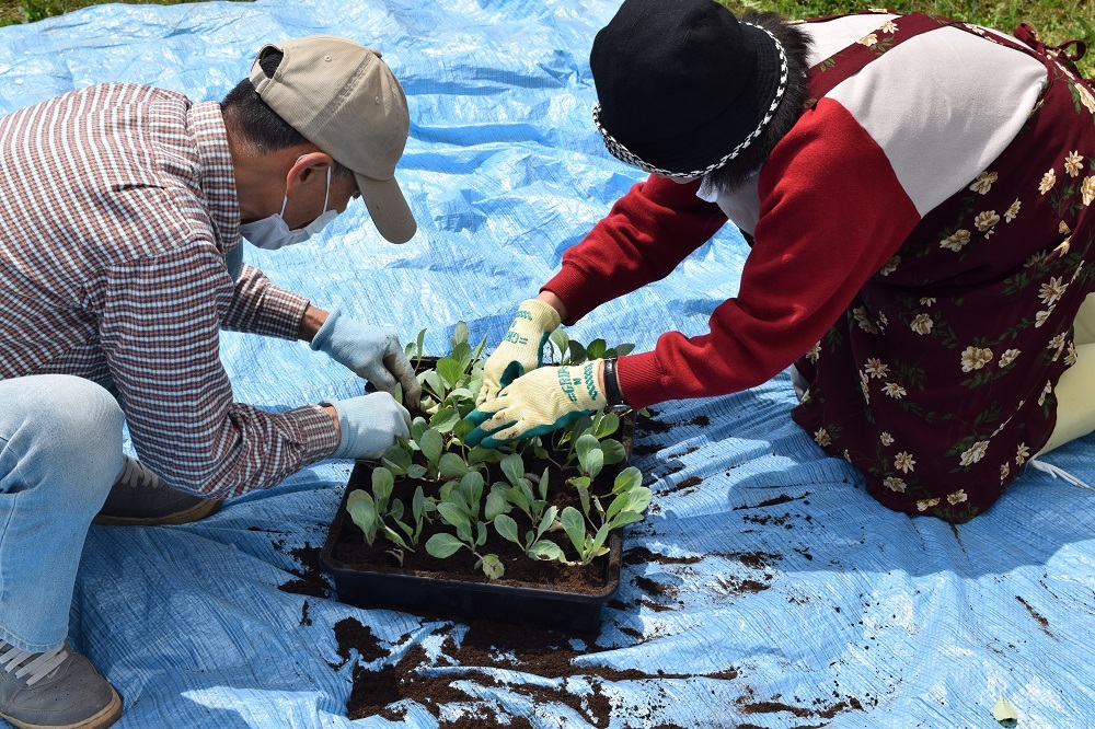 「はじめての有機野菜づくり体験」はじまりました。_f0361311_11294428.jpg