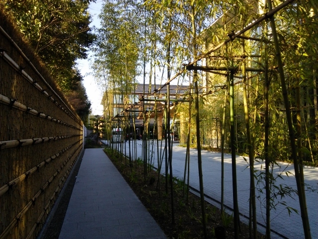 e0033713_21054657.jpg