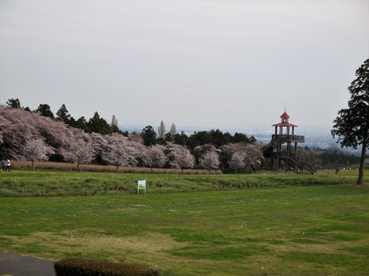 アカヤシオの丘と道の駅ぐりーんふらわー牧場・大胡_e0205713_16350589.jpg