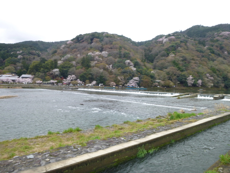d0170615_21353311.jpg
