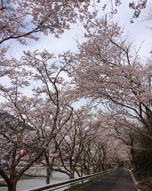 f0213915_19422980.jpg