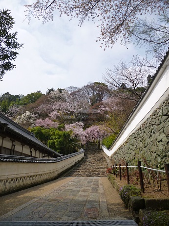 西国三十三か所巡り２　第8番札所　長谷寺さま_f0228619_20343675.jpg