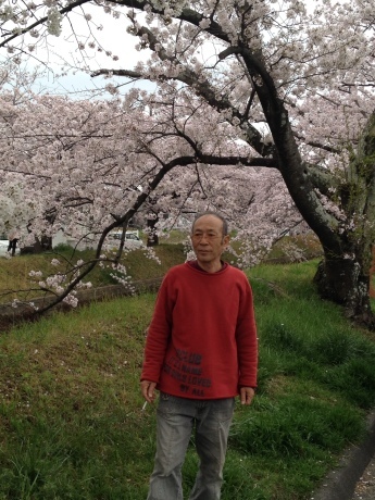 桜 さくら サクラ_e0278522_20381994.jpeg