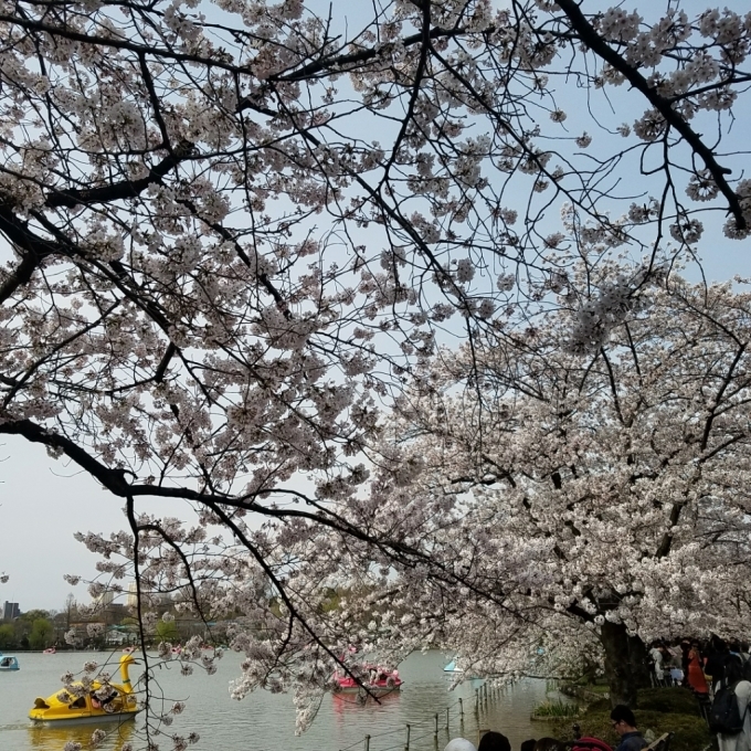 c0143523_21370928.jpg