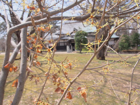 b0147224_033360.jpg