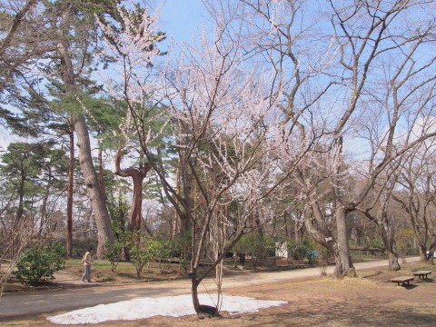 b0147224_043532.jpg