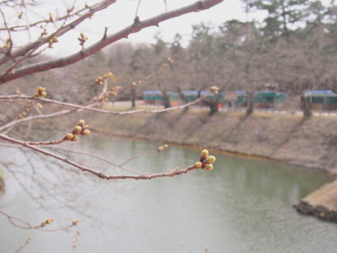 b0147224_062576.jpg