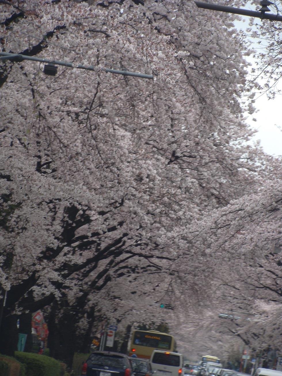 d0269832_09195212.jpg