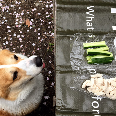 お花見遠足_f0035333_1454157.jpg
