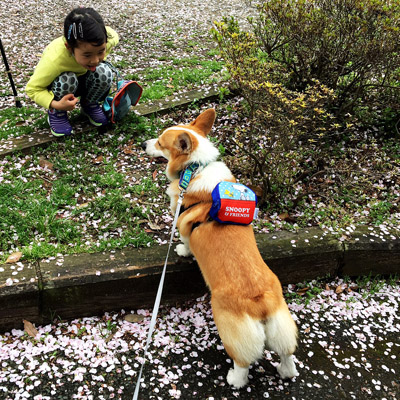 お花見遠足_f0035333_14565319.jpg