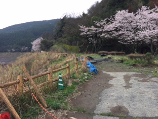 熊本地震の其の後手つかづのところも_d0009738_4401870.jpg