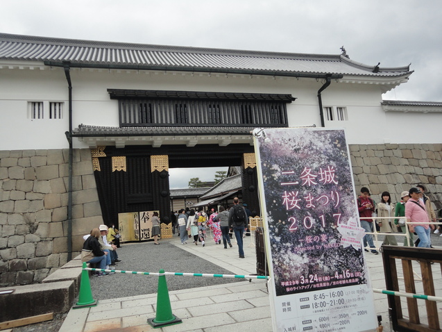 世界遺産　”二条城　桜まつり　２０１７”・・・①_d0359338_1524241.jpg