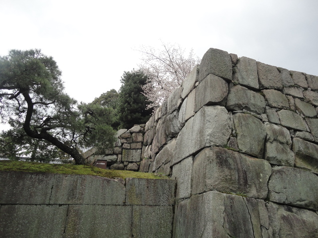 世界遺産　”二条城　桜まつり　２０１７”・・・①_d0359338_16122138.jpg