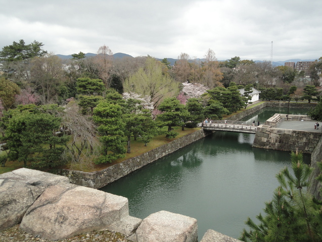 世界遺産　”二条城　桜まつり　２０１７”・・・①_d0359338_16134178.jpg