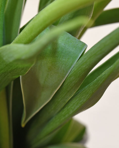 c0346840_15515325.jpg