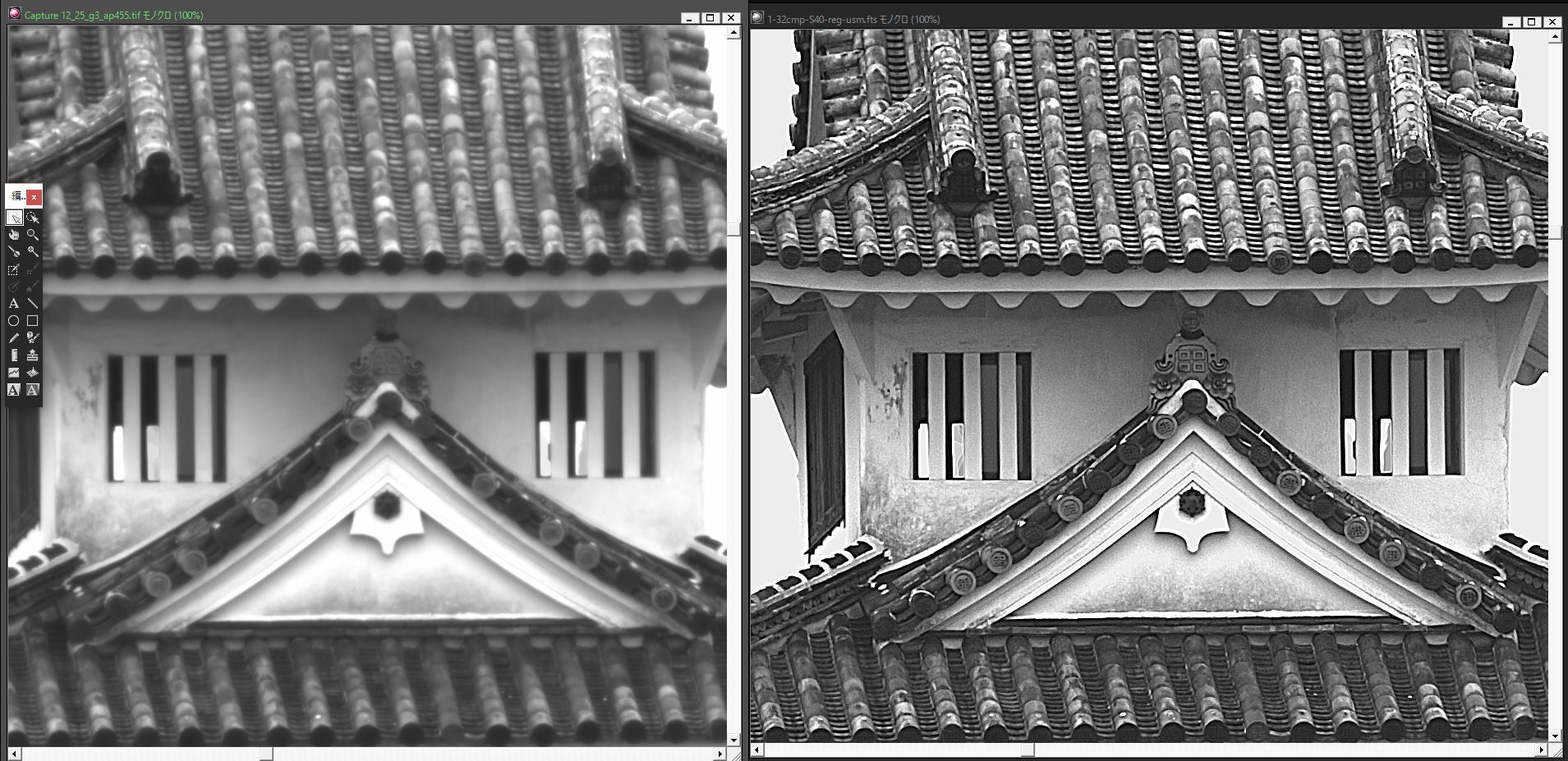 1キロ手前から「お花見」_f0346040_23091704.jpeg