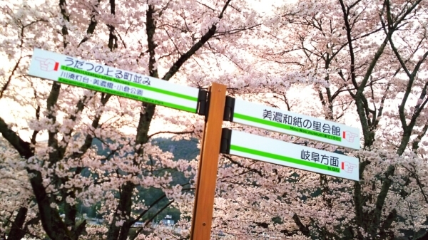 4/9(日) お花見と花みこし_a0272042_01234812.jpg