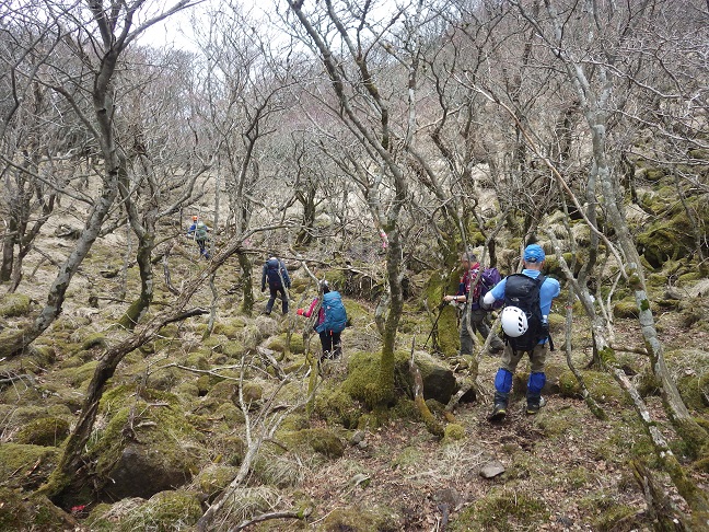 佐土原コースで由布岳へ_e0164643_16144058.jpg