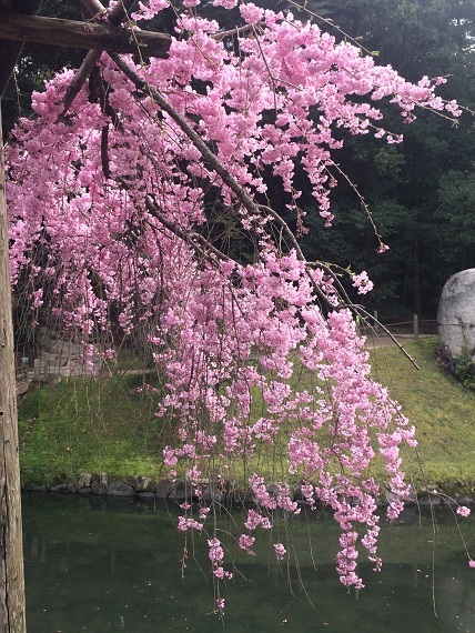 c0109450_10032975.jpg