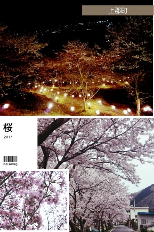 花見_b0328361_21305377.jpg