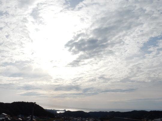 ’17,4,10(月)久しぶりの晴!とタコス作り!_f0060461_08272459.jpg