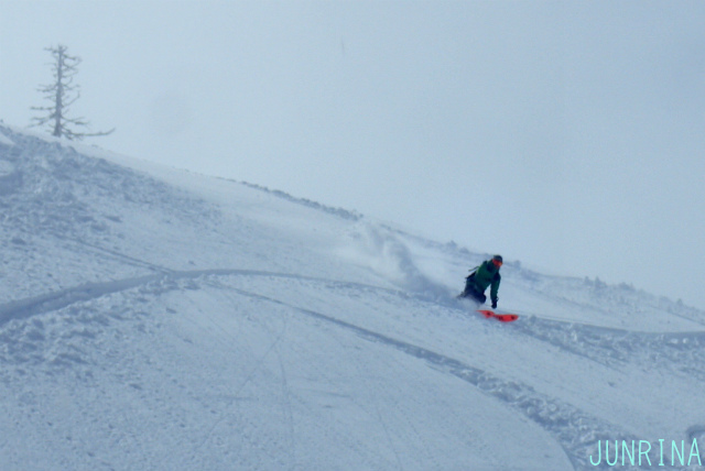 d0110562_11343427.jpg