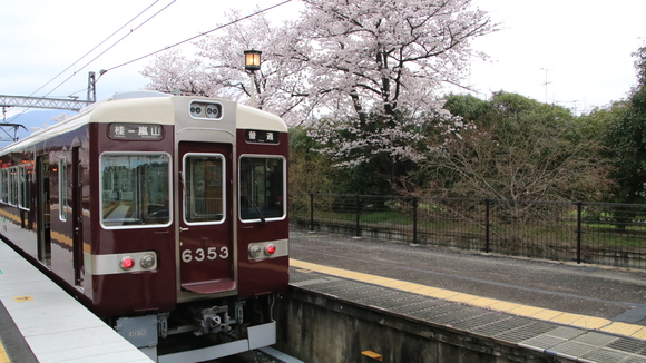 阪急嵐山駅　2017年　サクラ・・_d0202264_1824816.jpg