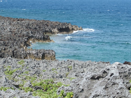 d0237967_17501098.jpg