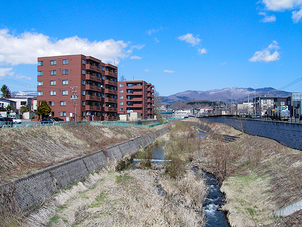 e0338273_20231264.jpg