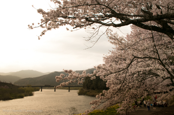 桜咲く夕刻の河畔を行く_f0136878_05124564.jpg