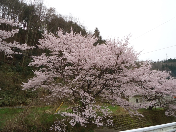 a0199979_20150542.jpg