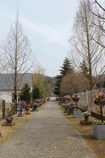 e0223684_17203522.gif