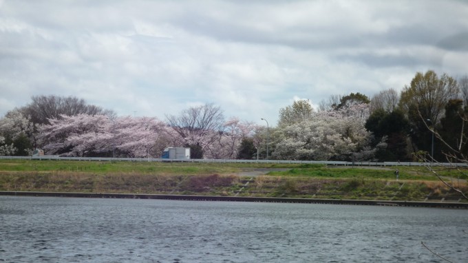 b0197486_852187.jpg