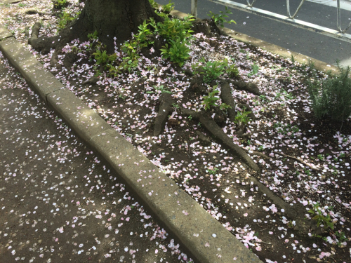 バランス能力が上がった_f0378589_21112524.jpg