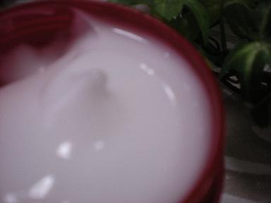 ネイチャーコンク 薬用モイスチャーゲル_e0233190_23125984.jpg