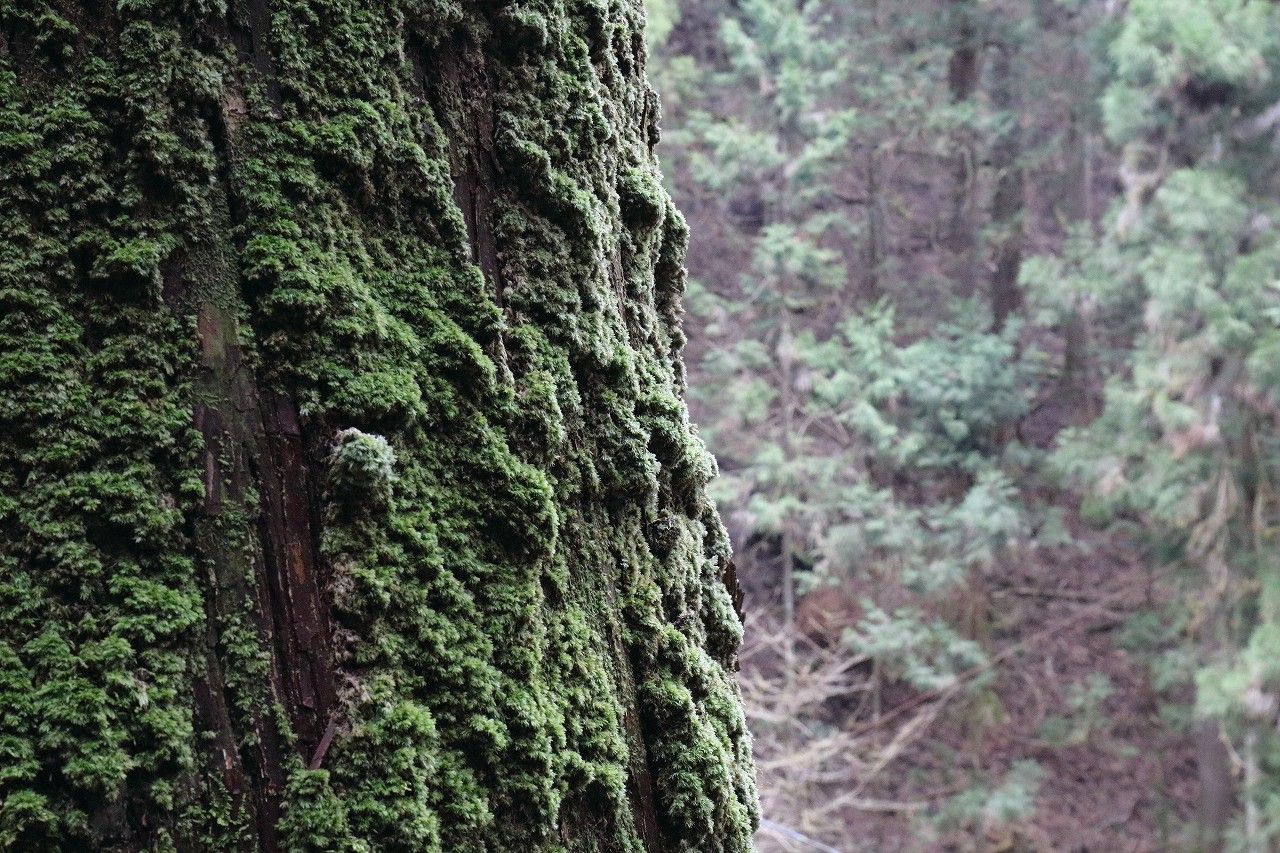 c0072801_23511396.jpg