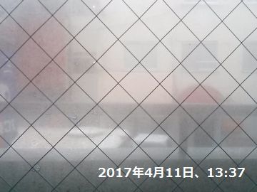 2017年4月11日（火）； 雨_d0051601_23083133.jpg