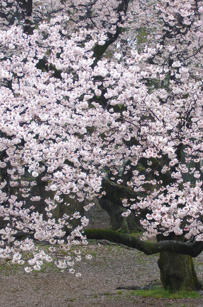 f0195002_12585533.jpg