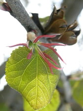 b0028109_15181858.jpg
