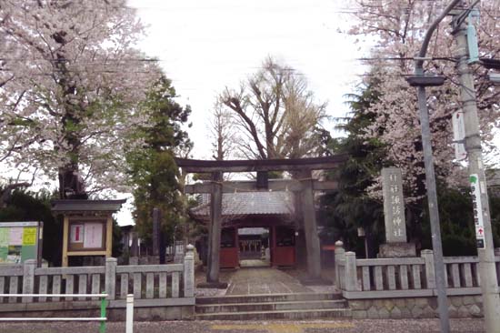 桜巡り⑤　諏訪神社～乗蓮寺_e0255509_20423592.jpg