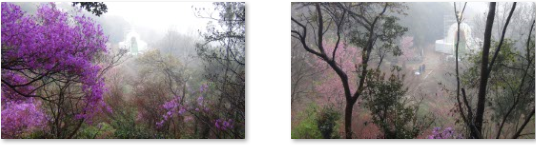 f0231709_22192998.png