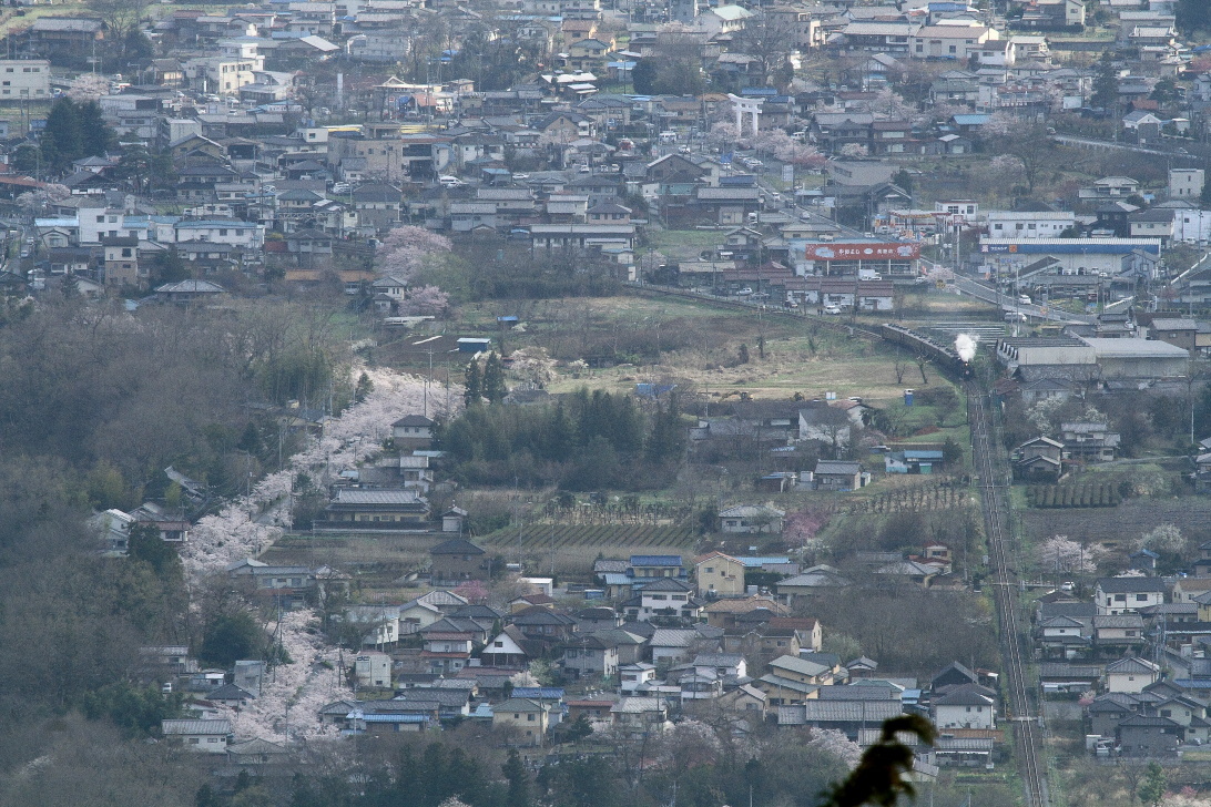 b0190710_23002712.jpg